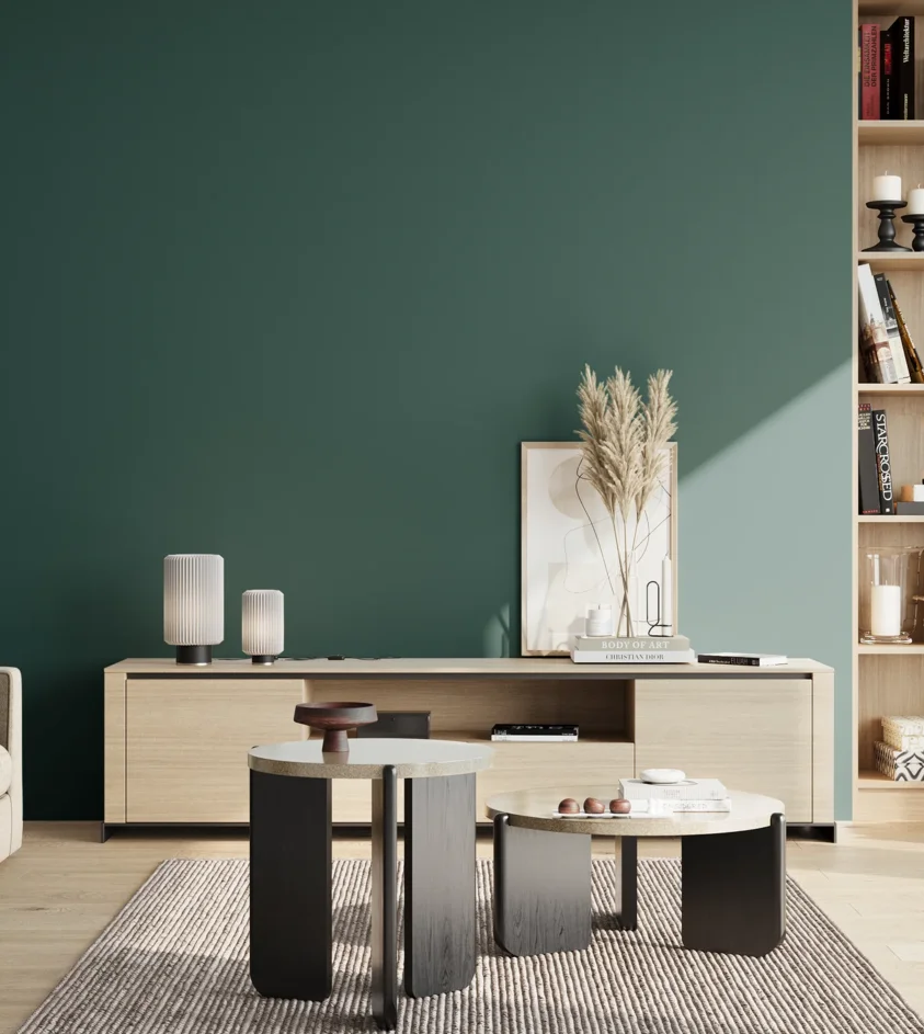 P10_SNIEZKA_salon_02_poludnie_GREY_S6030-B50G