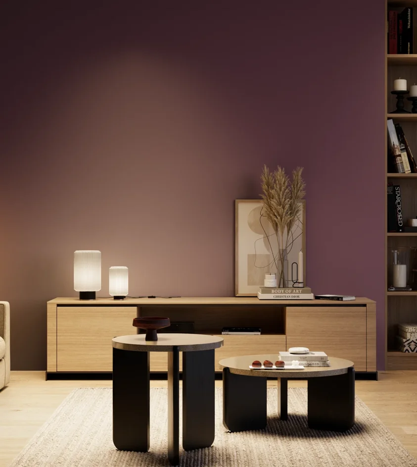 P10_SNIEZKA_salon_04_cieple_GREY_S6030-R40B