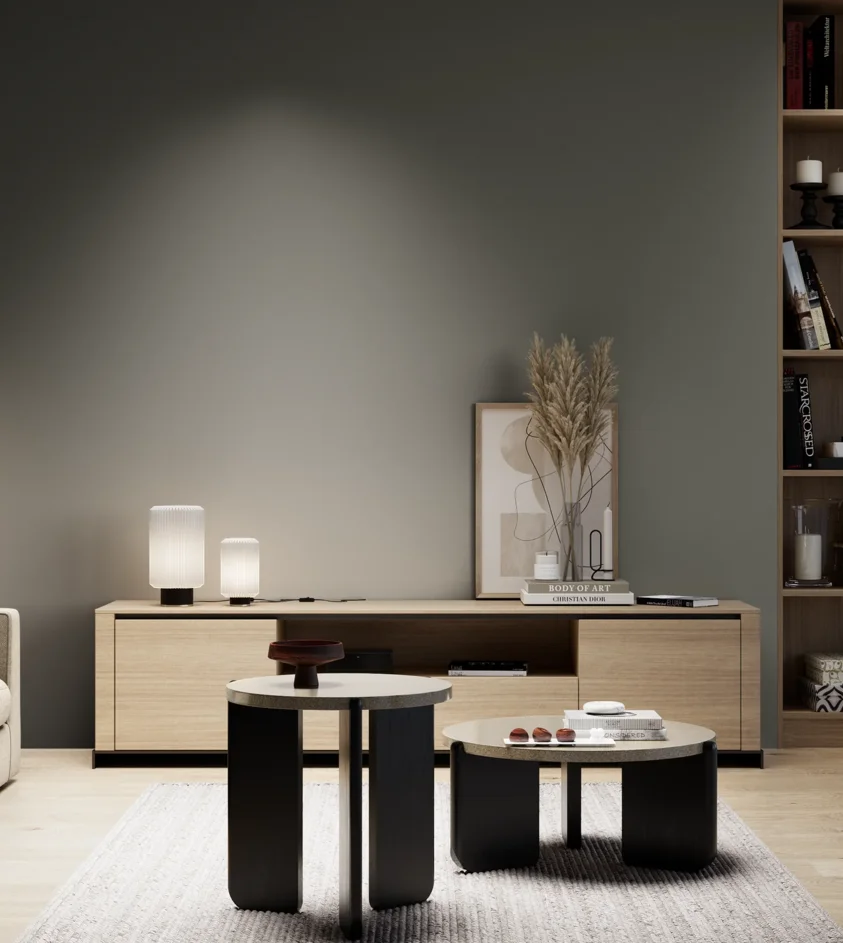 P10_SNIEZKA_salon_05_zimne_GREY_S7005-G50Y