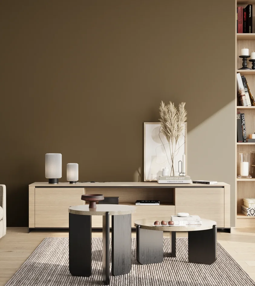 P10_SNIEZKA_salon_02_poludnie_GREY_S7020-Y