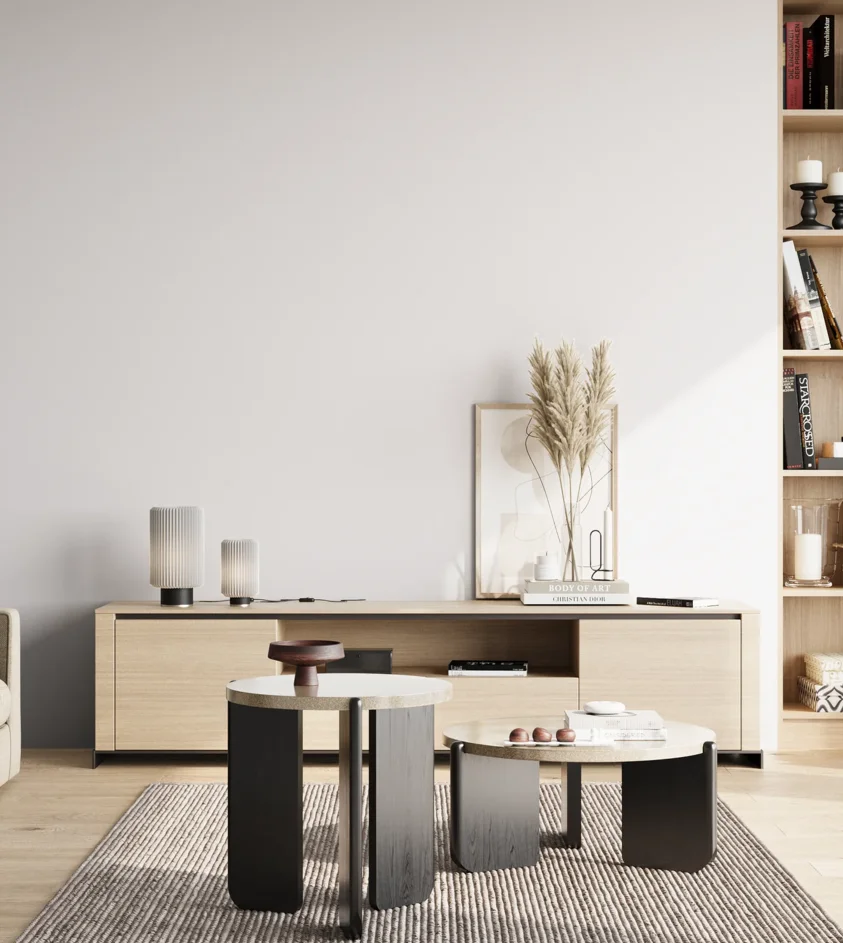 P10_SNIEZKA_salon_02_poludnie_GREY_S0601-R