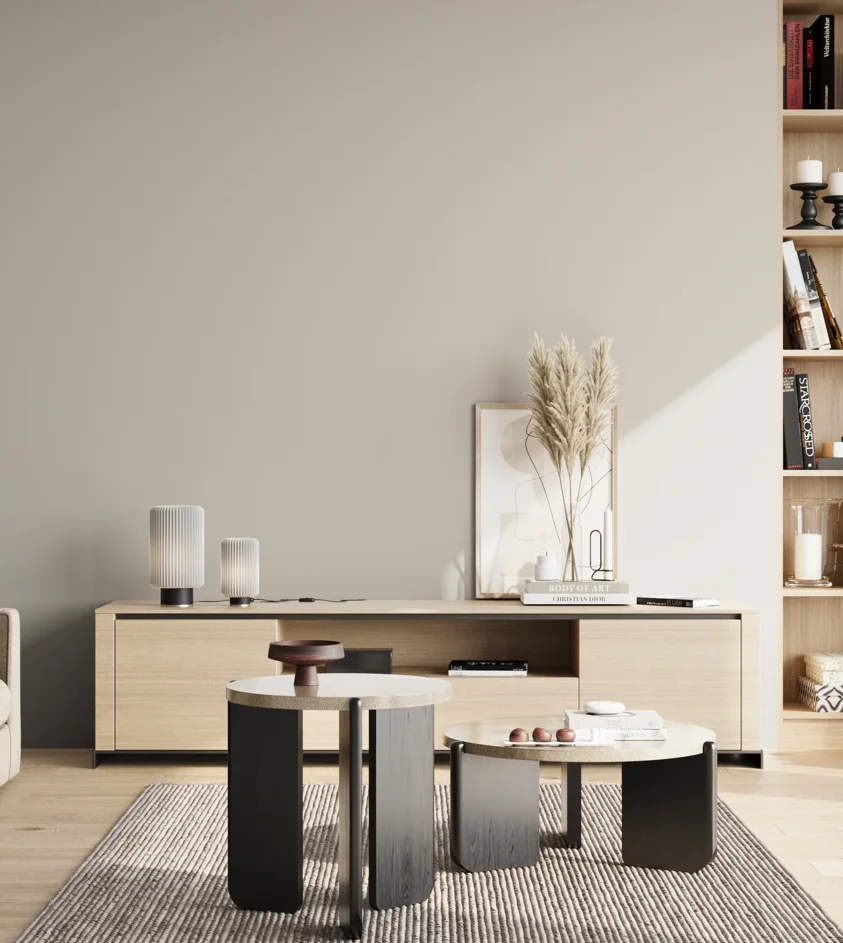 P10_SNIEZKA_salon_02_poludnie_GREY_S2002-Y20R