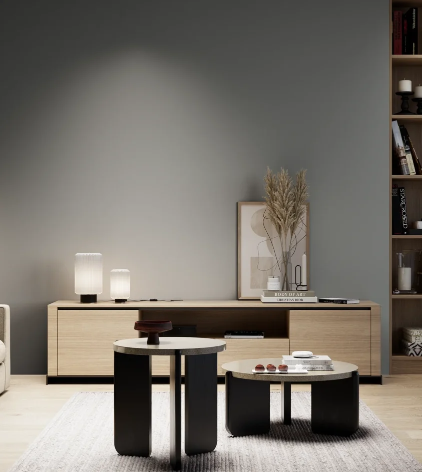 P10_SNIEZKA_salon_05_zimne_GREY_S5502-B50G
