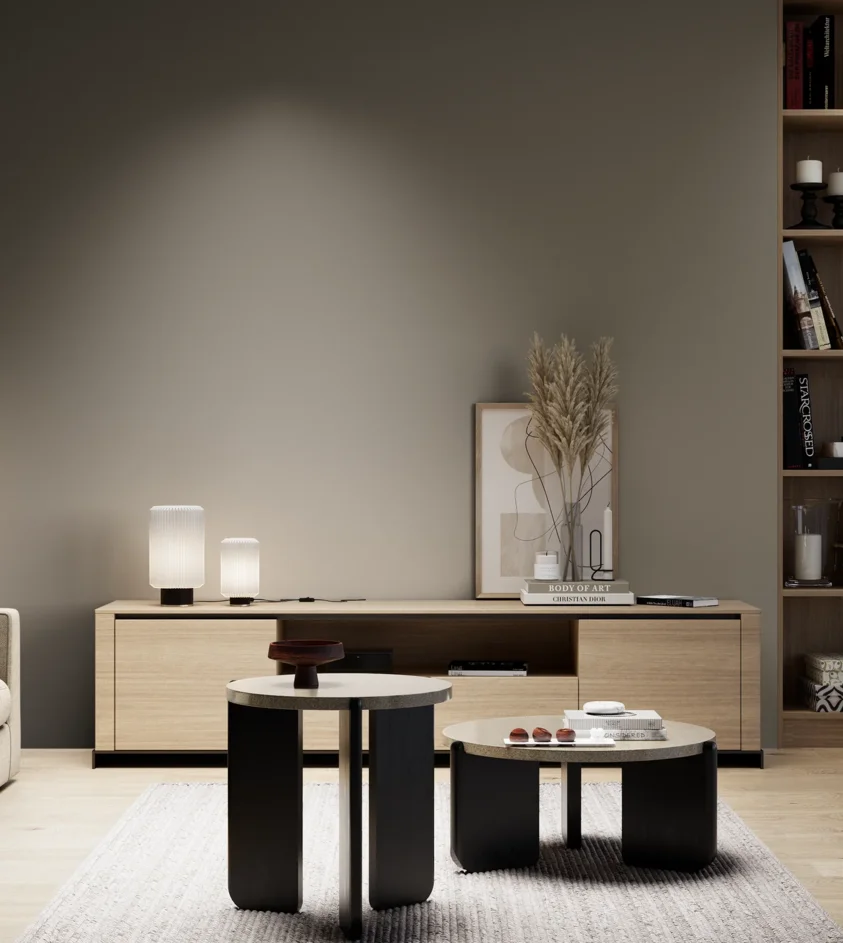 P10_SNIEZKA_salon_05_zimne_GREY_S6005-Y