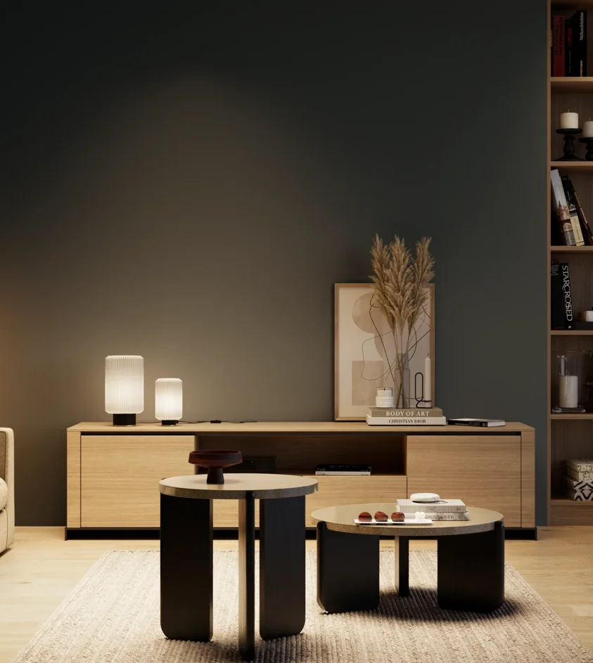 P10_SNIEZKA_salon_04_cieple_GREY_S8005-B
