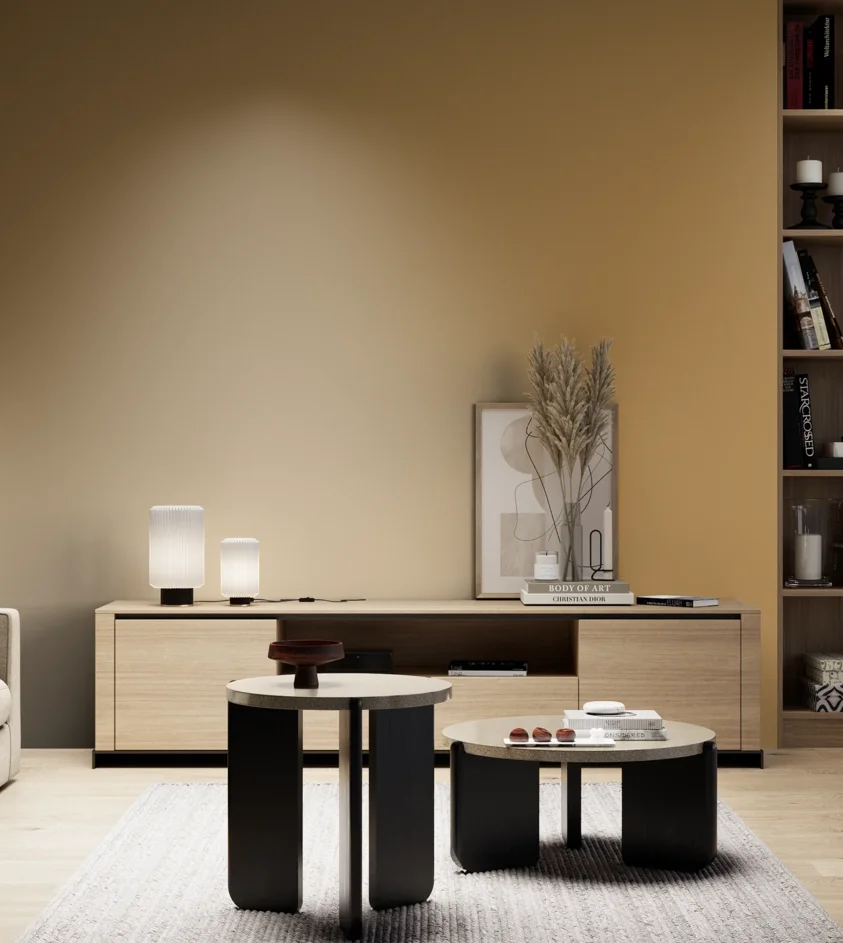P10_SNIEZKA_salon_05_zimne_GREY_RAL1024