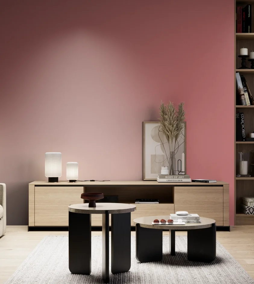 P10_SNIEZKA_salon_05_zimne_GREY_RAL3014