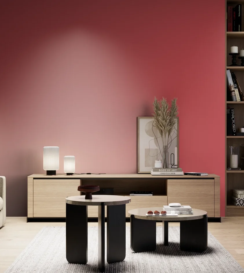 P10_SNIEZKA_salon_05_zimne_GREY_RAL3018