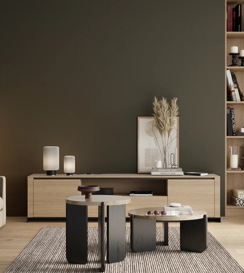 P10_SNIEZKA_salon_00_neutral_GREY_RAL6007
