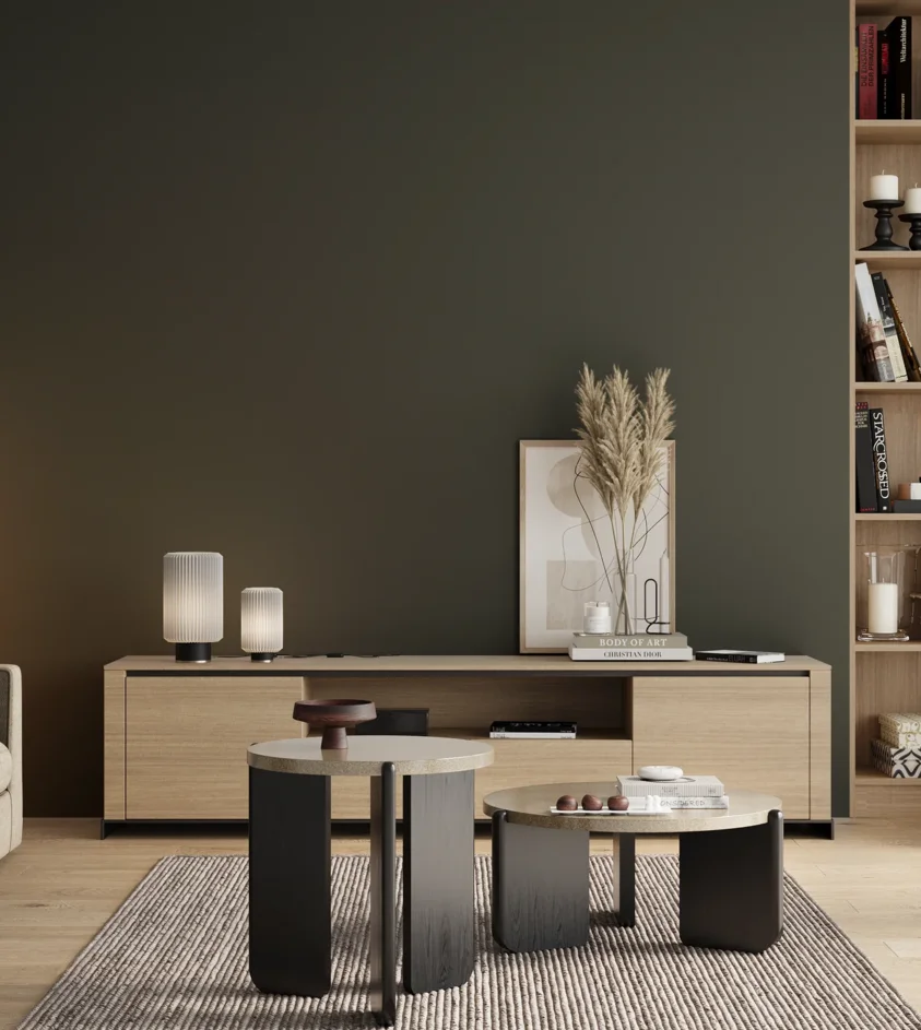 P10_SNIEZKA_salon_00_neutral_GREY_RAL6009