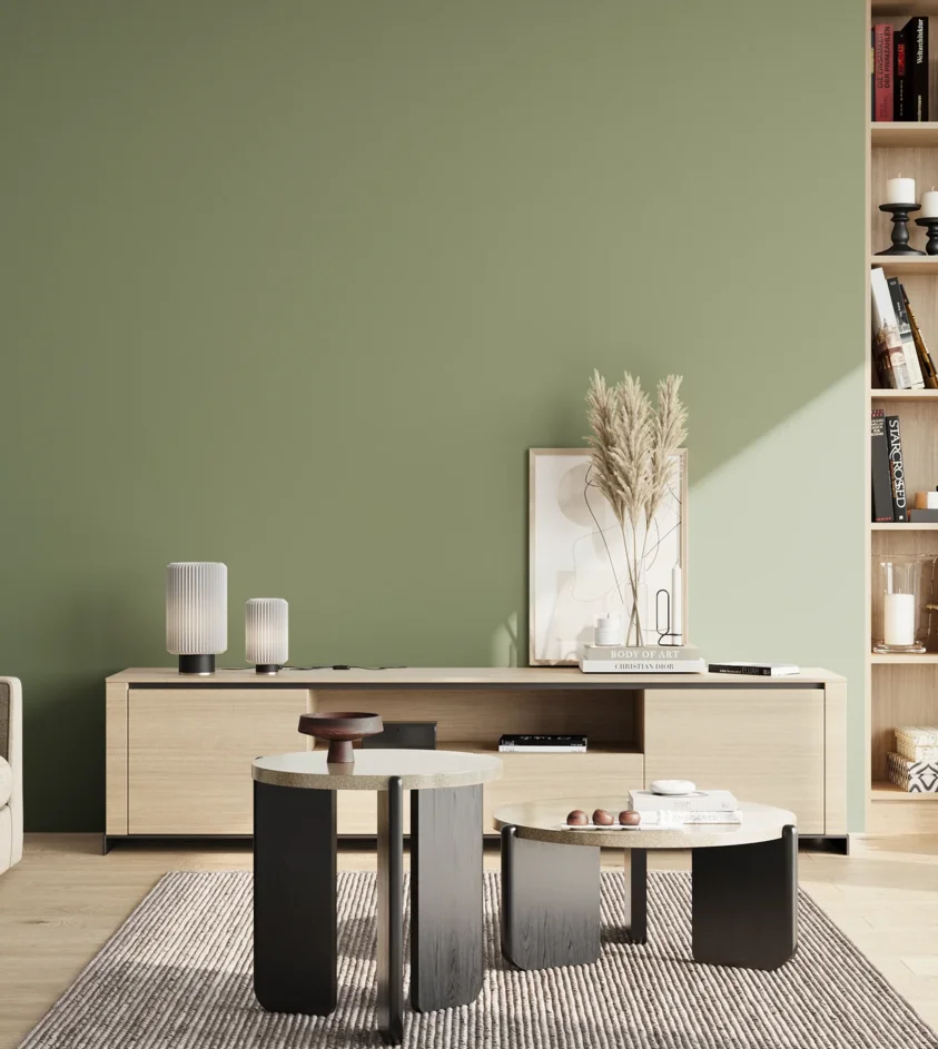 P10_SNIEZKA_salon_02_poludnie_GREY_RAL6021
