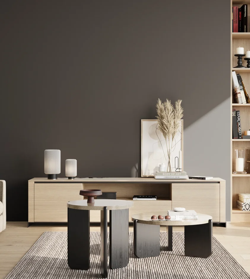 P10_SNIEZKA_salon_02_poludnie_GREY_RAL7021