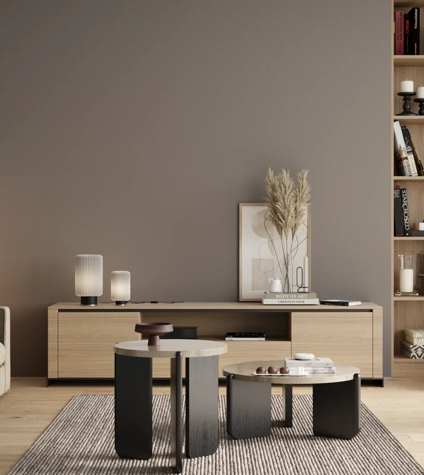 P10_SNIEZKA_salon_00_neutral_GREY_RAL7036