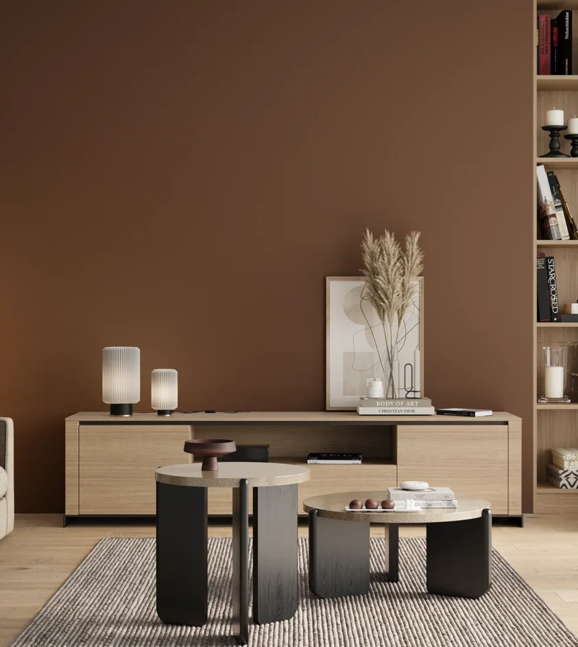 P10_SNIEZKA_salon_00_neutral_GREY_RAL8007