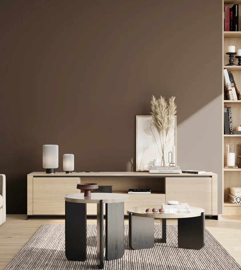 P10_SNIEZKA_salon_02_poludnie_GREY_RAL8014