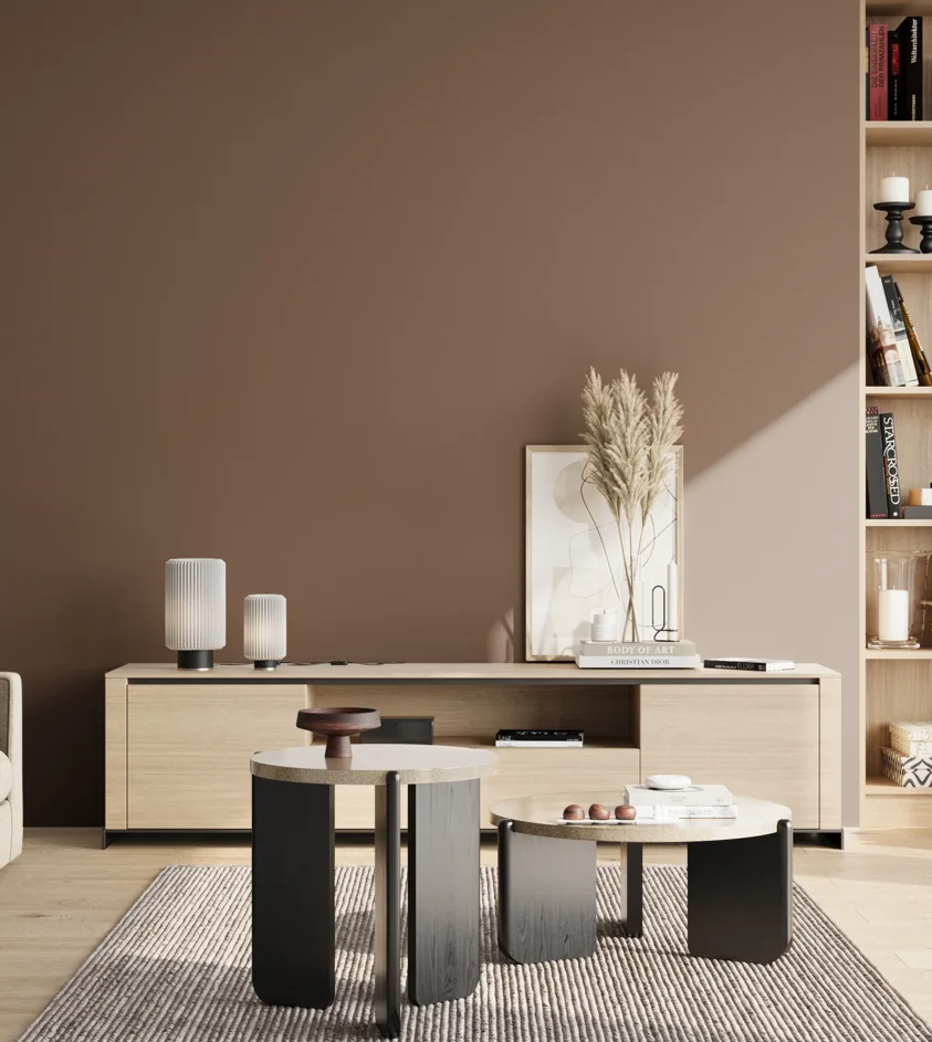 P10_SNIEZKA_salon_02_poludnie_GREY_RAL8025