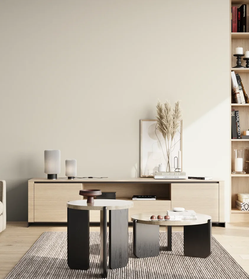 P10_SNIEZKA_salon_02_poludnie_GREY_RAL9010