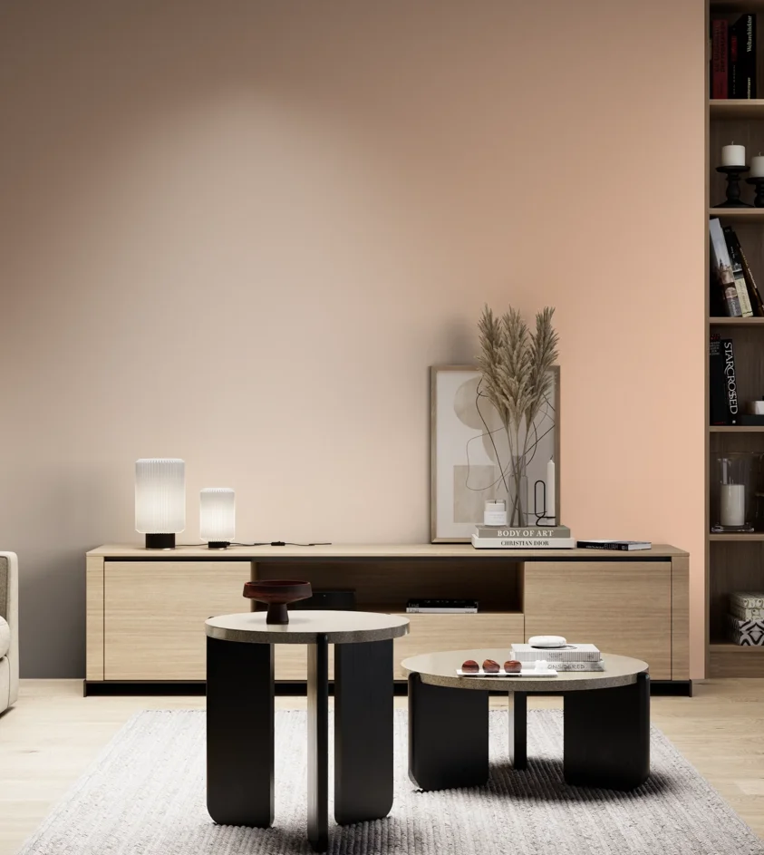 P10_SNIEZKA_salon_05_zimne_GREY_S0520-Y60R