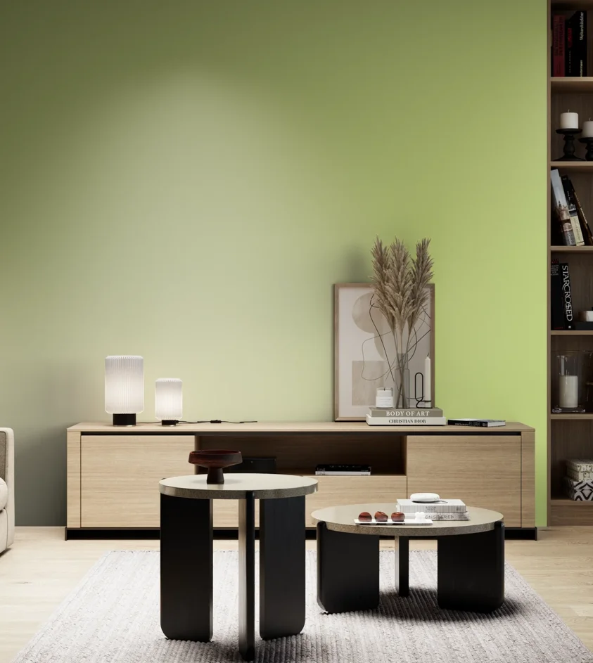 P10_SNIEZKA_salon_05_zimne_GREY_S0540-G50Y