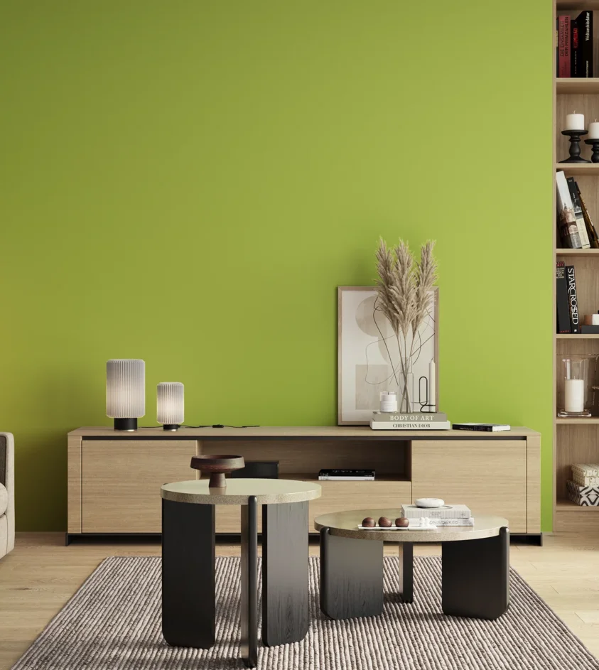 P10_SNIEZKA_salon_00_neutral_GREY_S0560-G50Y
