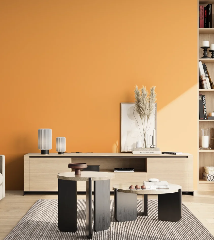 P10_SNIEZKA_salon_02_poludnie_GREY_S0560-Y30R
