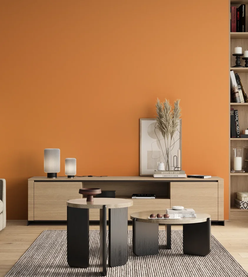 P10_SNIEZKA_salon_00_neutral_GREY_S0560-Y40R