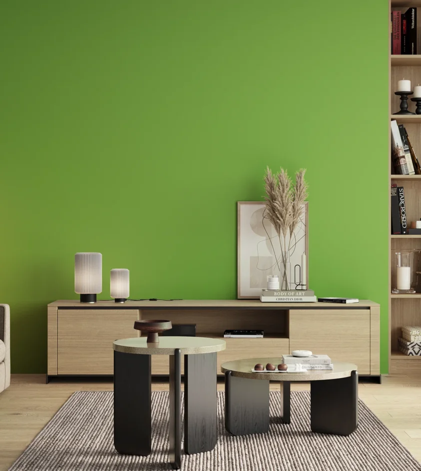 P10_SNIEZKA_salon_00_neutral_GREY_S0570-G30Y