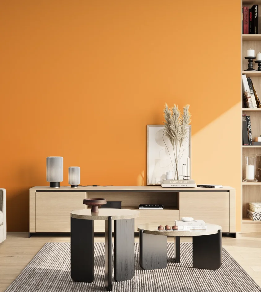 P10_SNIEZKA_salon_02_poludnie_GREY_S0570-Y30R