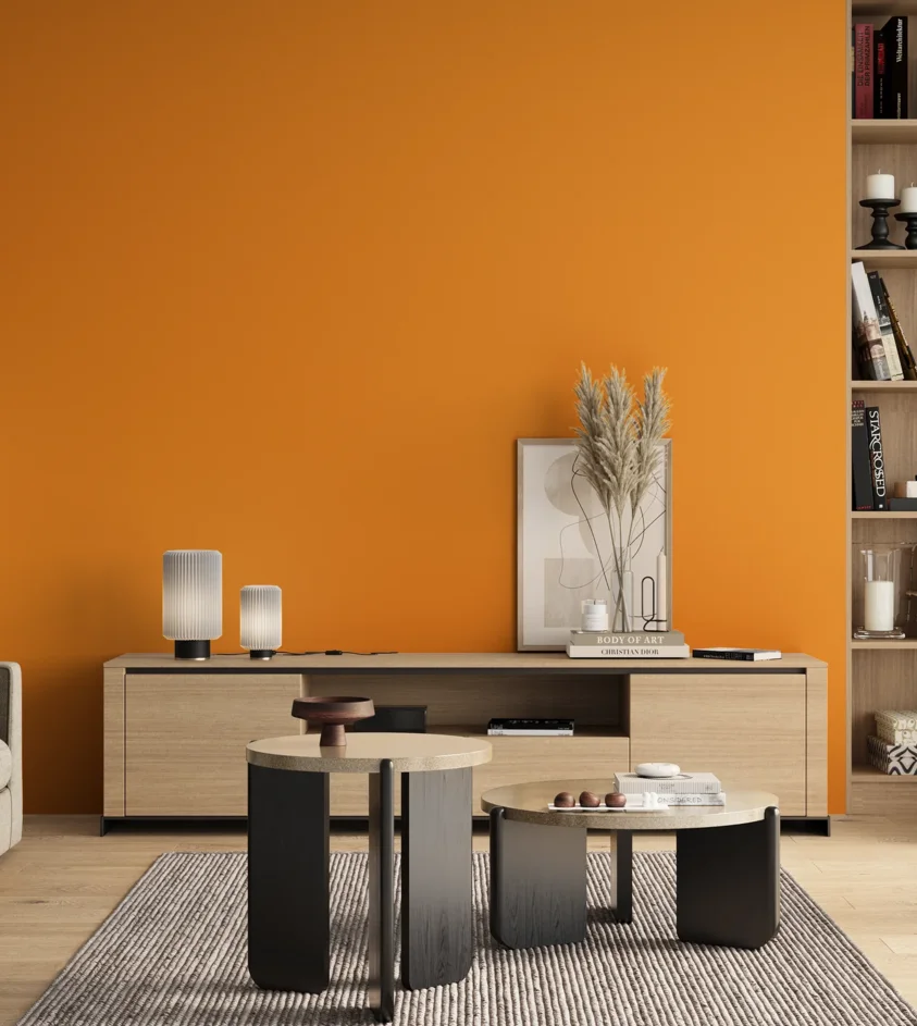 P10_SNIEZKA_salon_00_neutral_GREY_S0580-Y30R