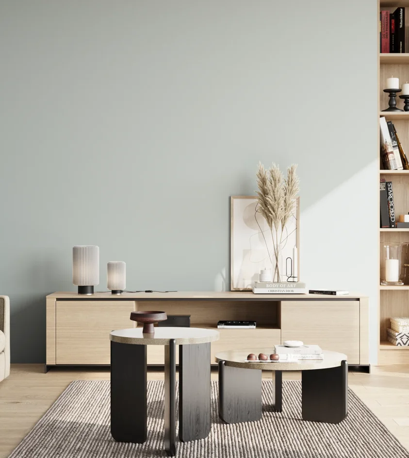 P10_SNIEZKA_salon_02_poludnie_GREY_S1005-B50G