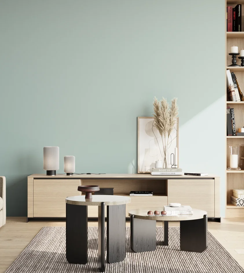 P10_SNIEZKA_salon_02_poludnie_GREY_S1010-B50G