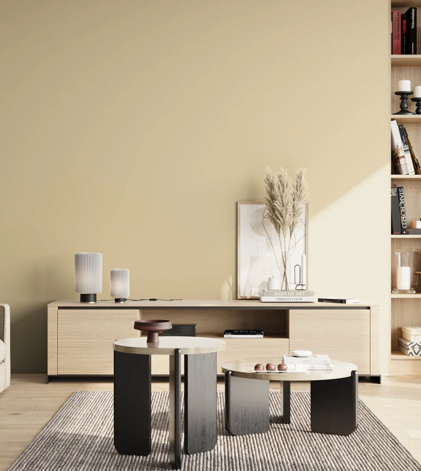 P10_SNIEZKA_salon_02_poludnie_GREY_S1010-Y20R