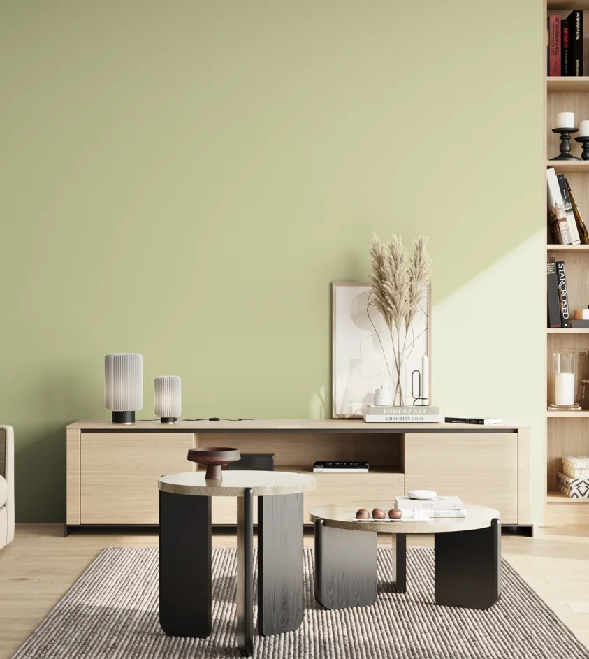 P10_SNIEZKA_salon_02_poludnie_GREY_S1015-G60Y