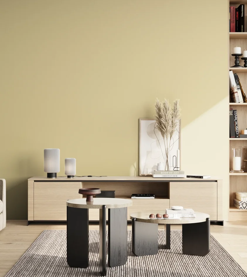 P10_SNIEZKA_salon_02_poludnie_GREY_S1015-Y