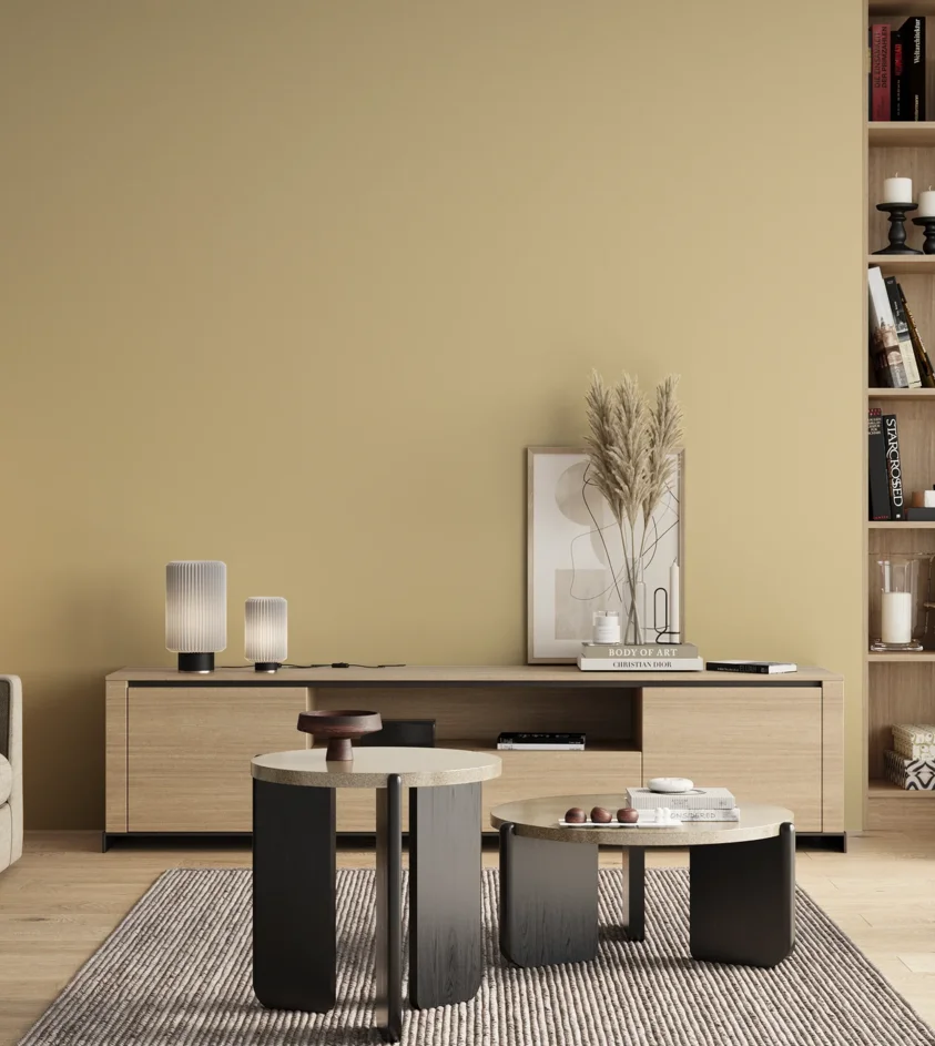 P10_SNIEZKA_salon_00_neutral_GREY_S1015-Y10R