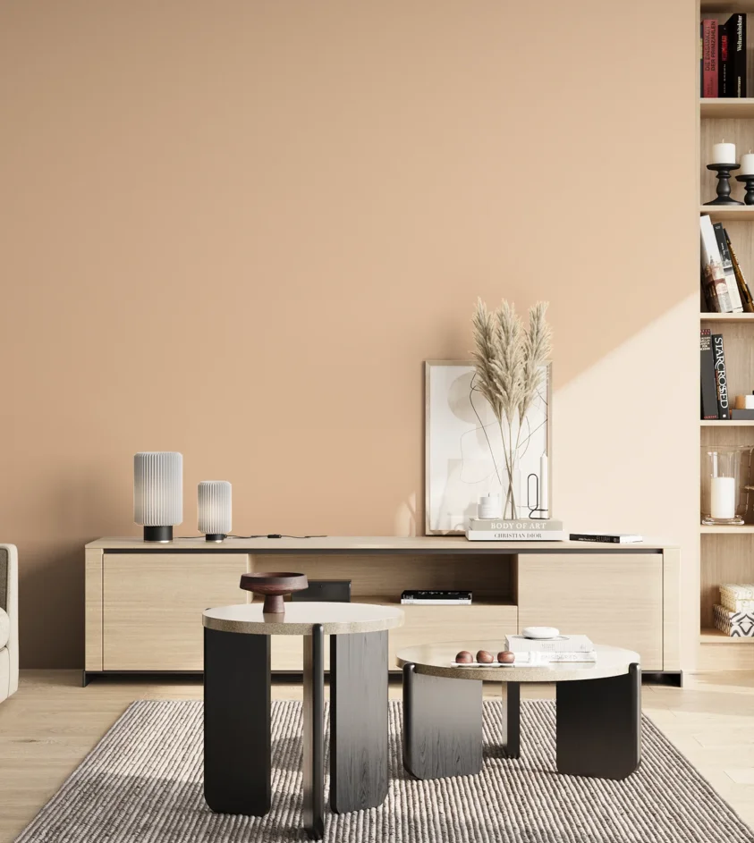 P10_SNIEZKA_salon_02_poludnie_GREY_S1015-Y50R