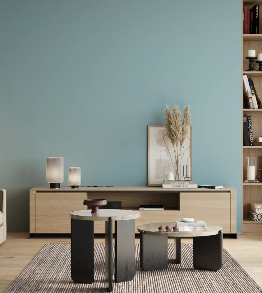 P10_SNIEZKA_salon_00_neutral_GREY_S1020-B10G