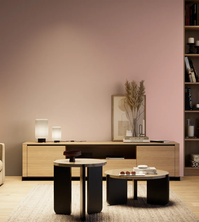 P10_SNIEZKA_salon_04_cieple_GREY_S1020-R