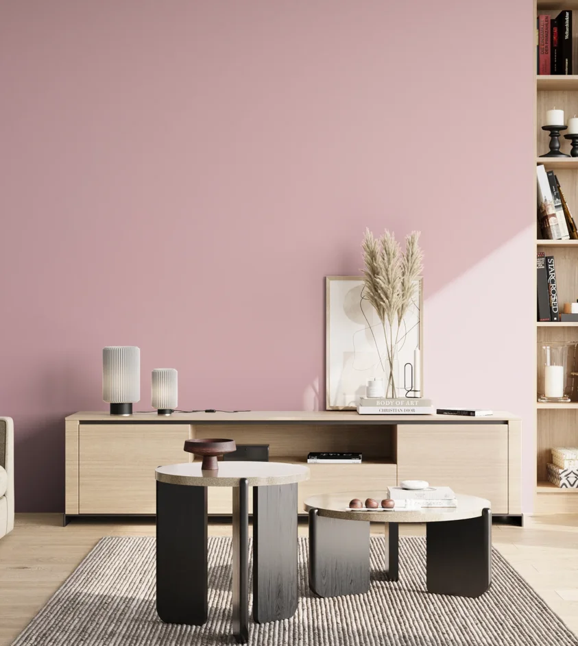 P10_SNIEZKA_salon_02_poludnie_GREY_S1020-R20B