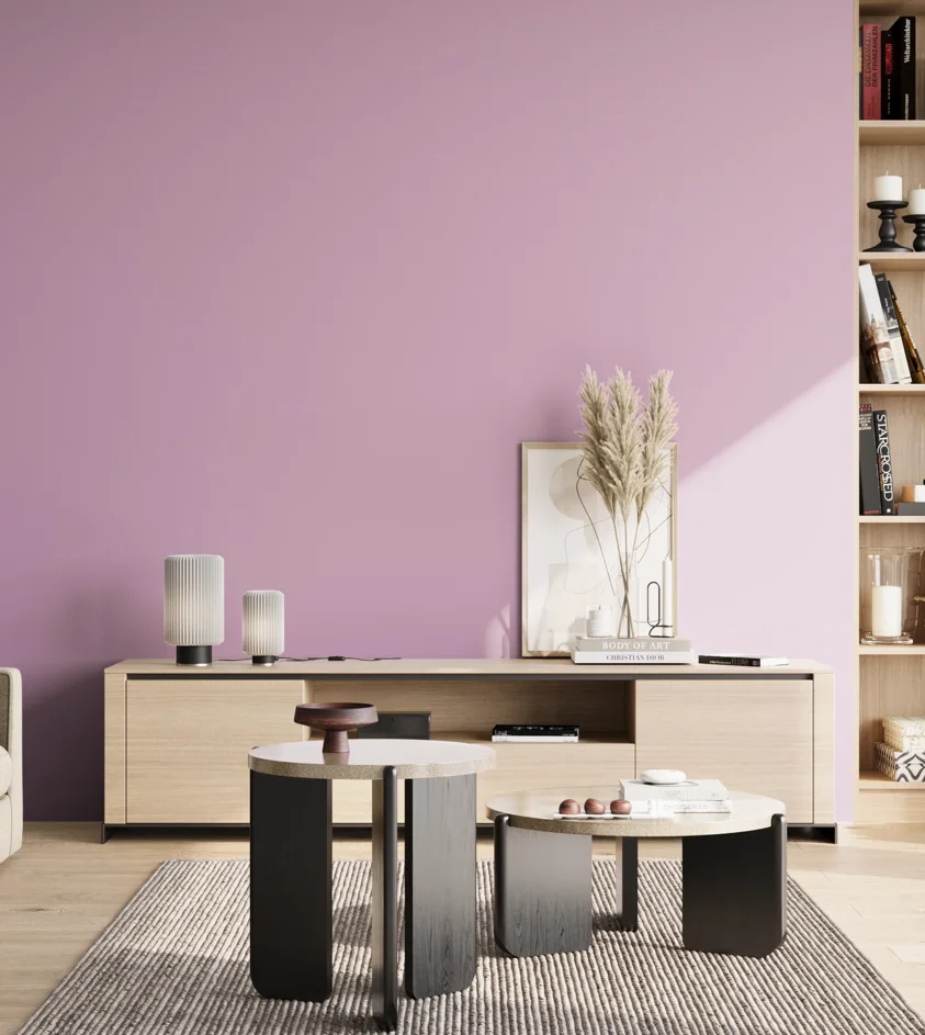 P10_SNIEZKA_salon_02_poludnie_GREY_S1030-R40B