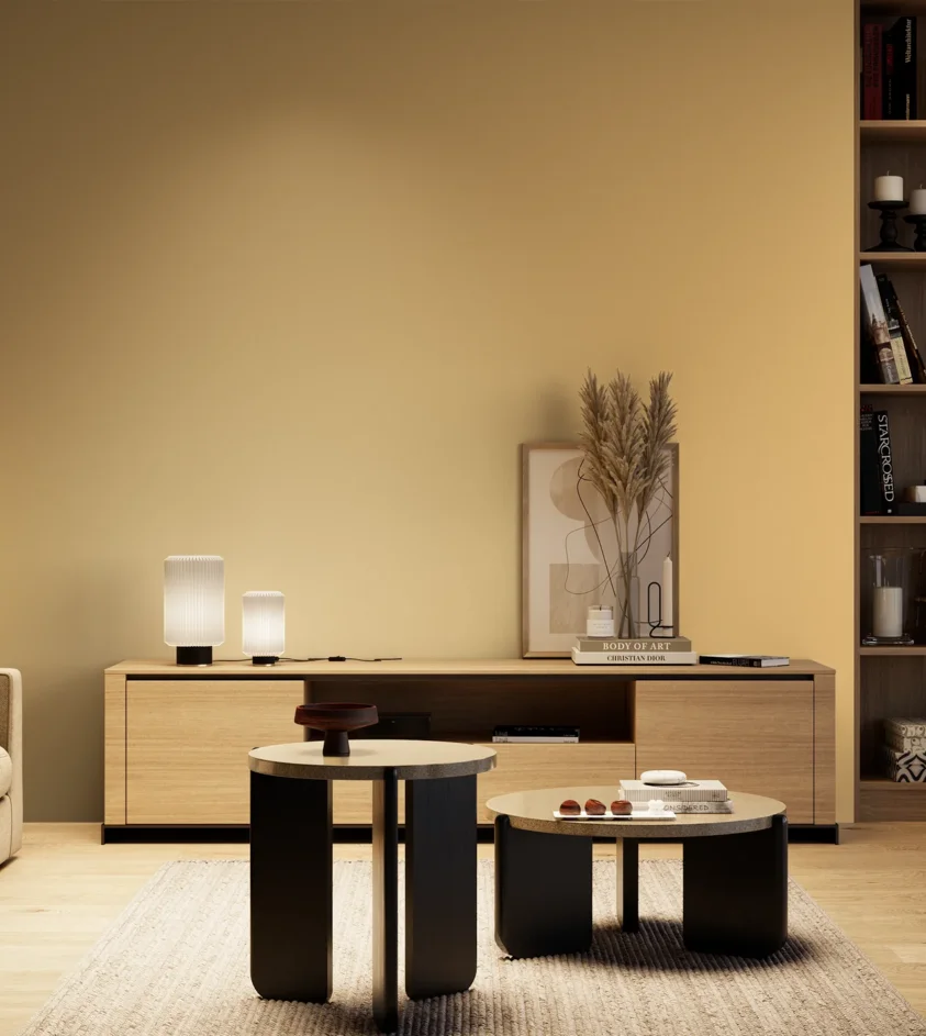 P10_SNIEZKA_salon_04_cieple_GREY_S1030-Y20R