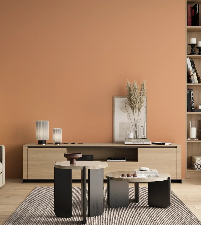 P10_SNIEZKA_salon_00_neutral_GREY_S1030-Y50R