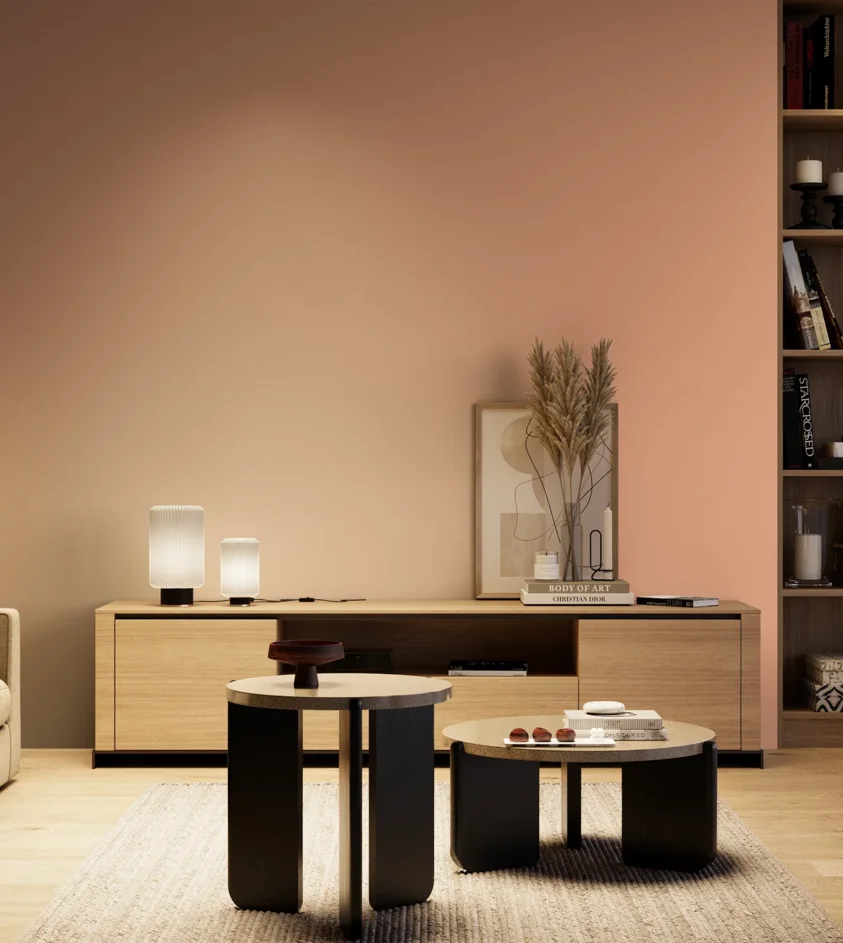 P10_SNIEZKA_salon_04_cieple_GREY_S1030-Y70R