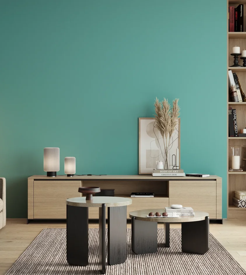 P10_SNIEZKA_salon_00_neutral_GREY_S1040-B50G