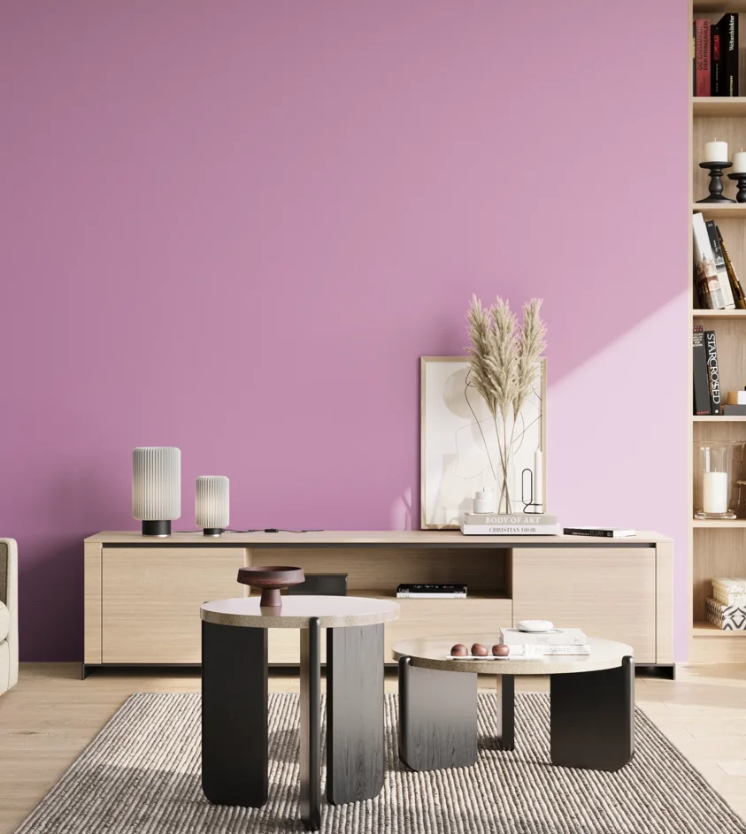 P10_SNIEZKA_salon_02_poludnie_GREY_S1040-R40B