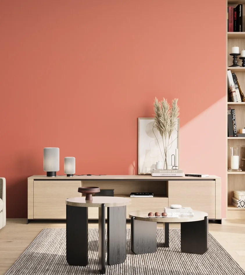 P10_SNIEZKA_salon_02_poludnie_GREY_S1050-Y80R