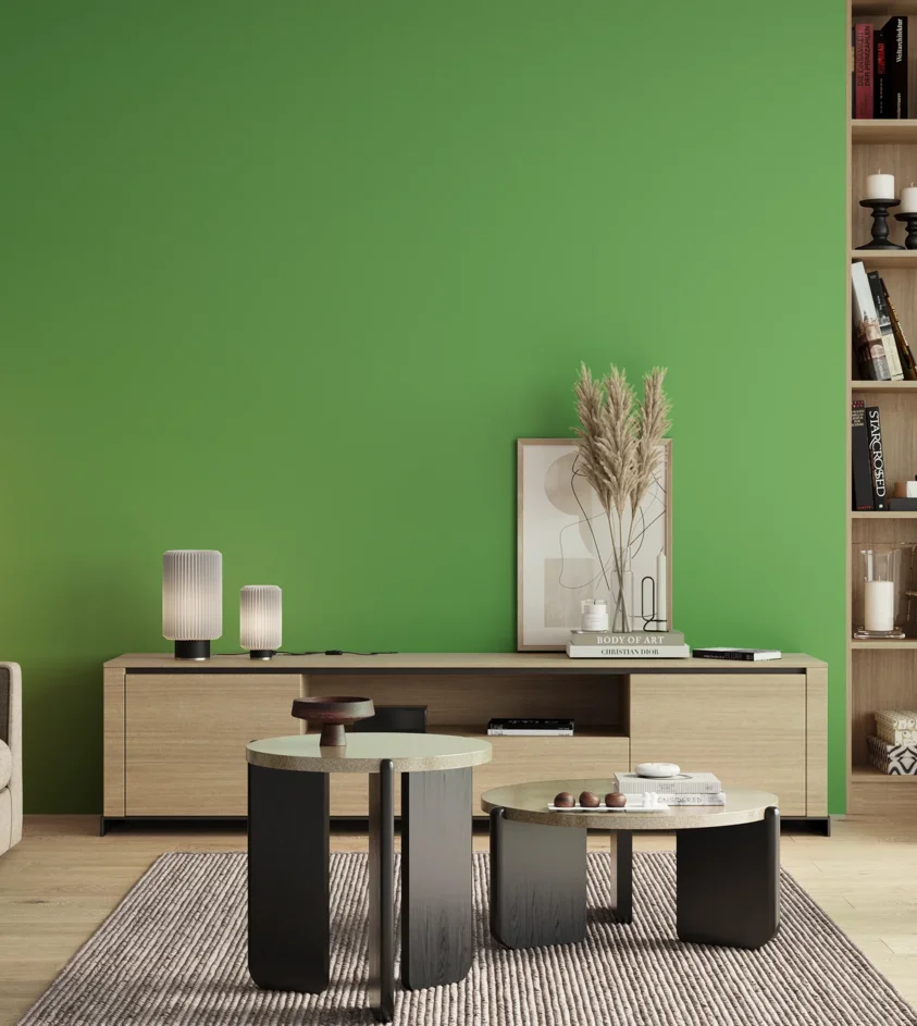 P10_SNIEZKA_salon_00_neutral_GREY_S1060-G20Y