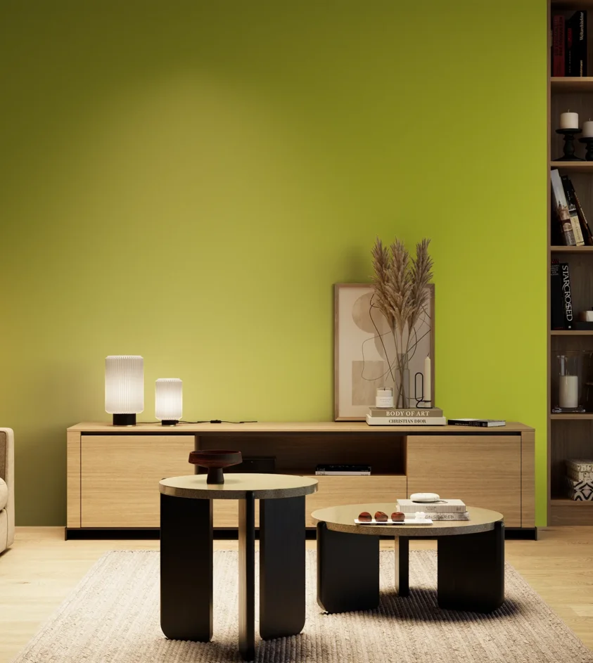 P10_SNIEZKA_salon_04_cieple_GREY_S1070-G60Y