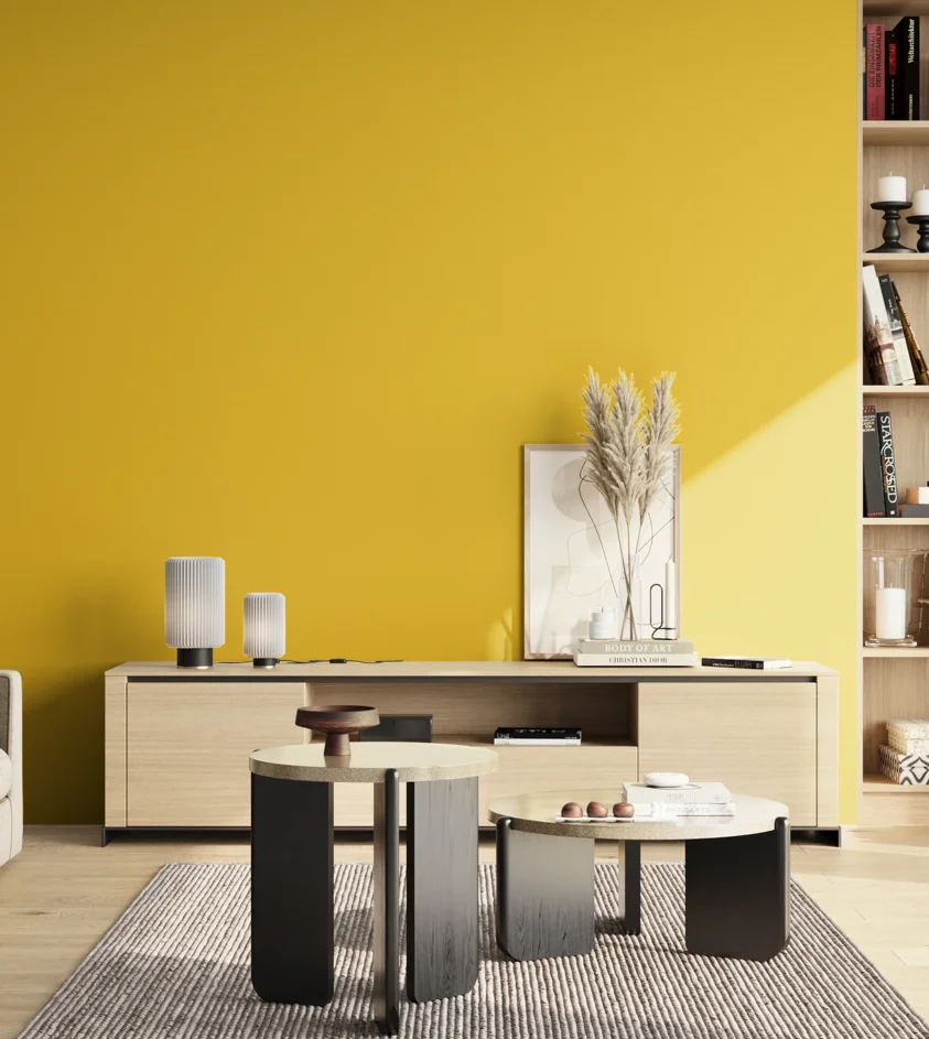 P10_SNIEZKA_salon_02_poludnie_GREY_S1070-Y