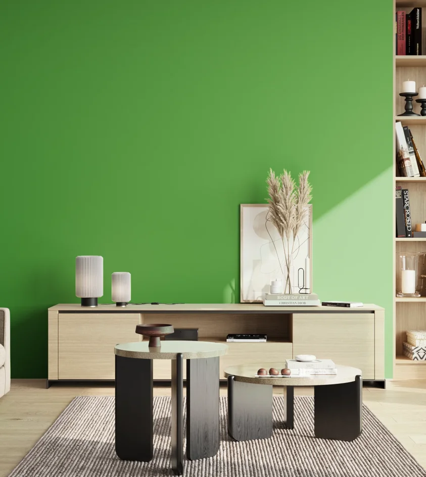 P10_SNIEZKA_salon_02_poludnie_GREY_S1075-G20Y